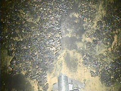 福島第一2号機格納容器調査170209