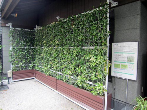 広島市内に設置された壁面緑化システム