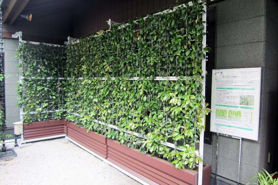 室内でも利用できる壁面緑化システム。中国電力が年度内にも商品化へ｜電気新聞