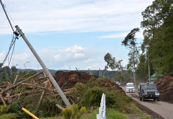 厚真町では地震による土砂崩れで電柱が倒れるなど、震源近くでは送配電設備も被害を受けた