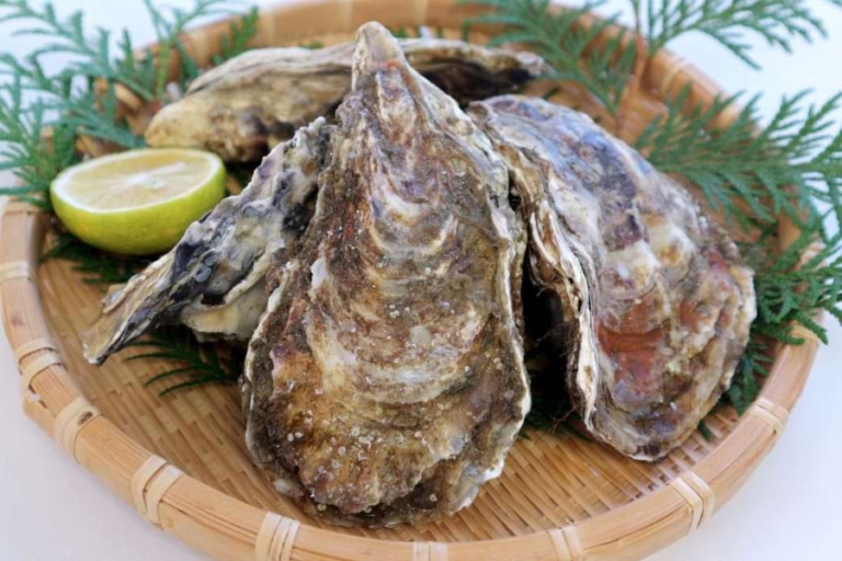 発電所向け海洋生物検出技術をカキ養殖に応用――広島県と中国電力など｜電気新聞