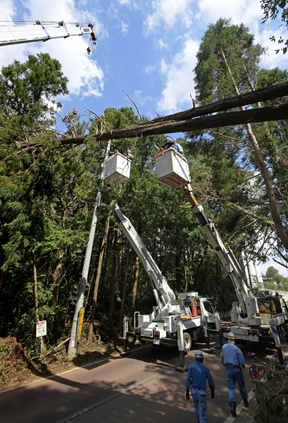 千葉県八街市の御成街道では、道路脇の杉林から数本の倒木が電線や電柱にもたれかかっていた。通常、配電作業では枝葉を切る程度だが、ここでは木の幹を切断しクレーンで移動させるという作業が必要となった。千葉県八街市の御成街道では、道路脇の杉林から数本の倒木が電線や電柱にもたれかかっていた。通常、配電作業では枝葉を切る程度だが、ここでは木の幹を切断しクレーンで移動させるという作業が必要となった。現場には自衛隊も待機し、切り落とした木々を運搬した。今回の台風被害を受けた樹木は、幹の中がスカスカになり弱っているものが多い。こうなると重心が分かりにくく、思わぬ方向に傾くこともあるため、慎重さが求められるという。(20日） 