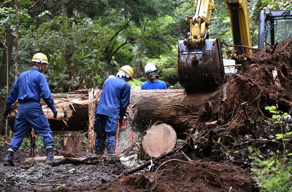 静岡県河津町の山間部にある無線中継所への送電再開へ、土砂崩れや倒木でふさがれている山道を切り開き、作業車両を通した。倒木は約２７０本だったという。