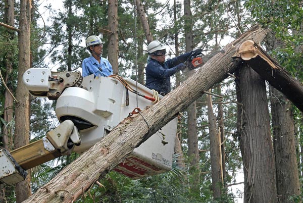 倒木を切断する作業員（千葉県八街市、9月20日）