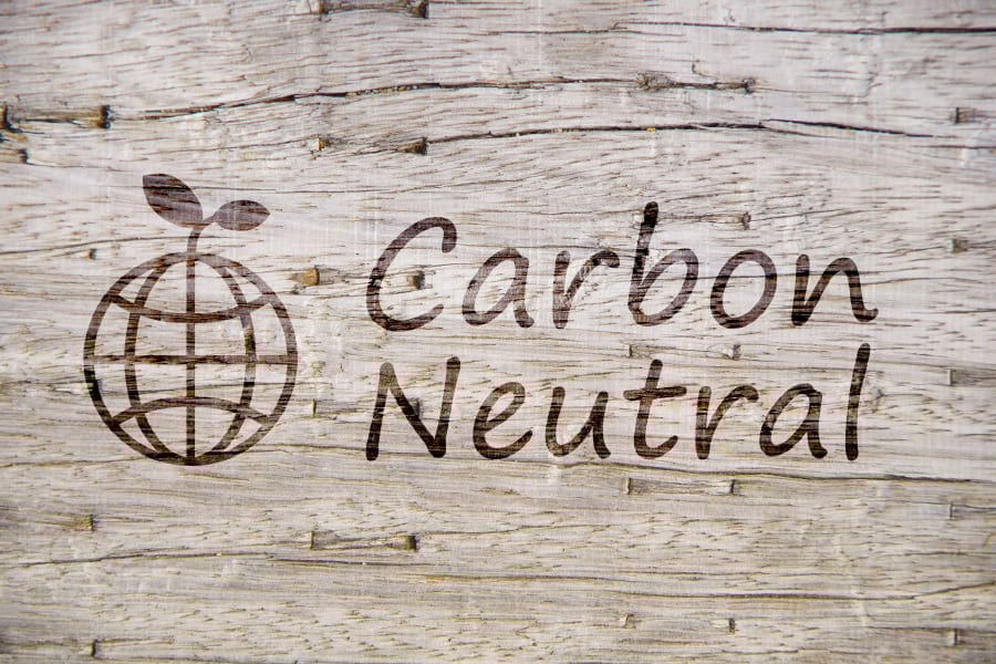 電事連、２０５０年排出ゼロ実現へ供給・需要両面で行動計画｜電気新聞