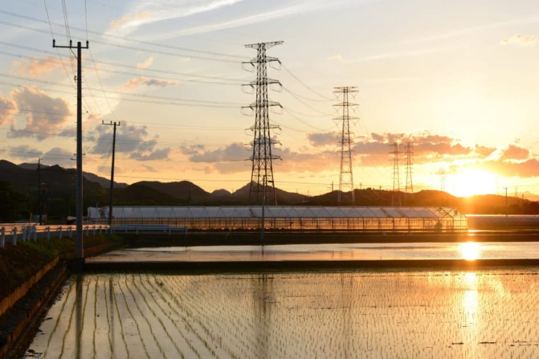 送配電網協、系統技術の次世代化へロードマップ策定｜電気新聞