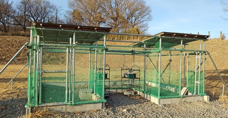 カラスが本当に苦手な鳥害対策品は？　心電図など駆使し探る｜電気新聞