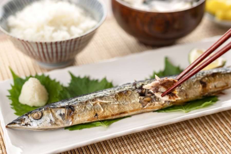 電気事業連合会が全国で魚食振興展開。カタログ販売やイベントなど｜電気新聞