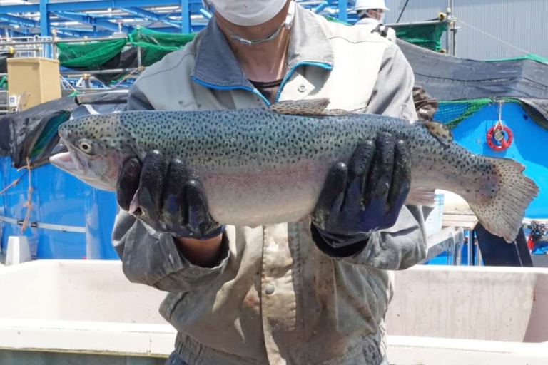 ＬＮＧ冷熱で養殖したサーモン初出荷　東邦ガス｜電気新聞