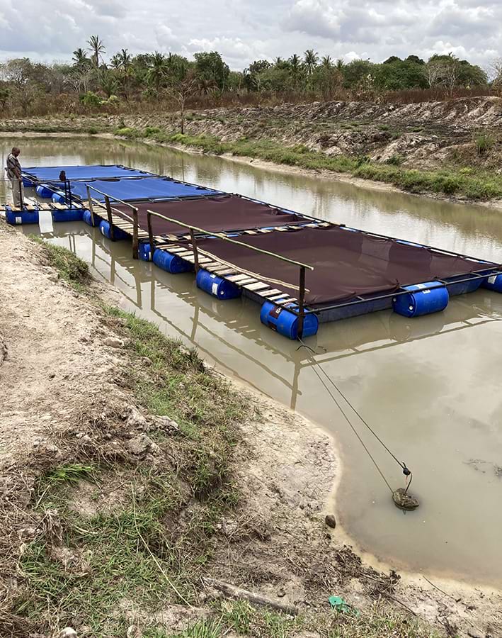 地産地消の循環システム構築に向けて試験養殖に取り組んでいる（写真はタンザニアの養殖池）