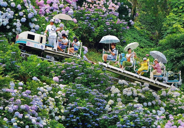 第70回「電気のある生活」写真賞・準特選「紫陽花観光モノレール」