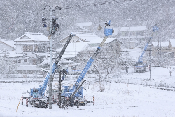 第71回「電気のある生活」写真賞・特選「チームワーク」