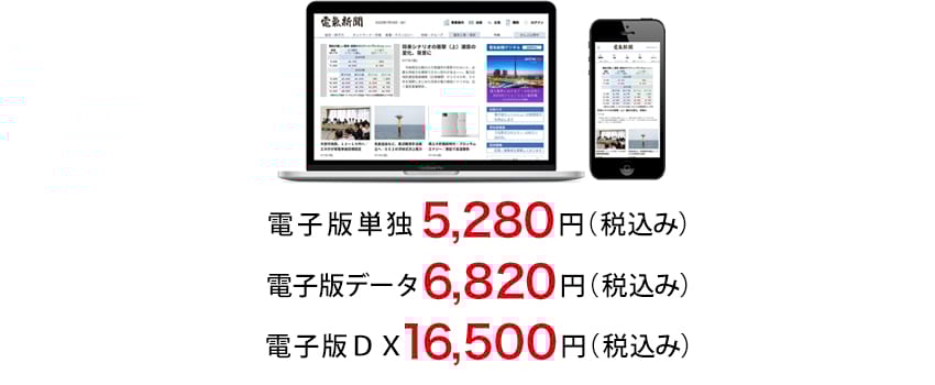 電子版単体プラン|電気新聞