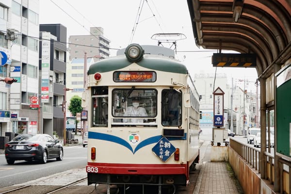 各地で活躍した車両を継承し「路面電車の博物館」とも呼ばれる広島電鉄と土佐電気鉄道（現とさでん交通）。写真は昭和30年代に製造され、かつて山口県下関市を走っていた800形（高知市はりまや町）