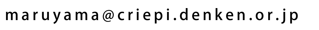 公益事業学会政策研究会(電力)事務局 丸山 真弘(電力中央研究所)
