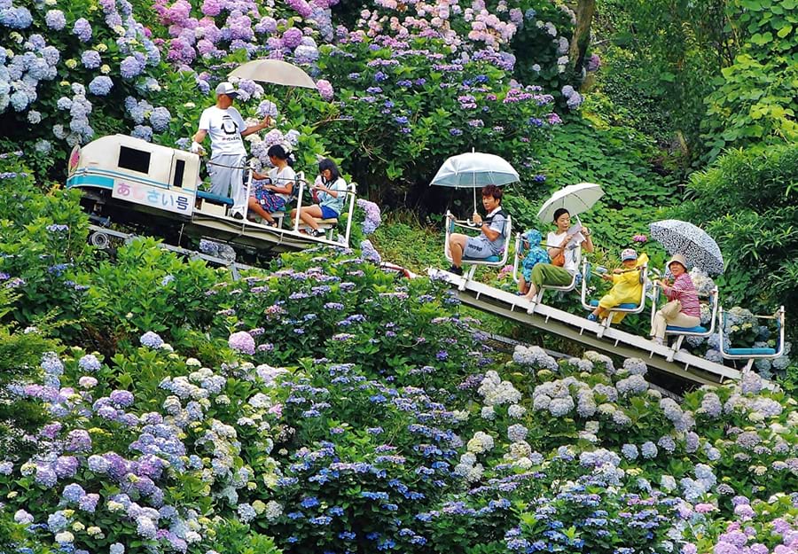 「紫陽花観光モノレール」大高久昌|第72回「電気のある生活」写真賞
