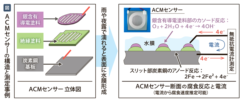 ACMセンサーの構造と測定事例